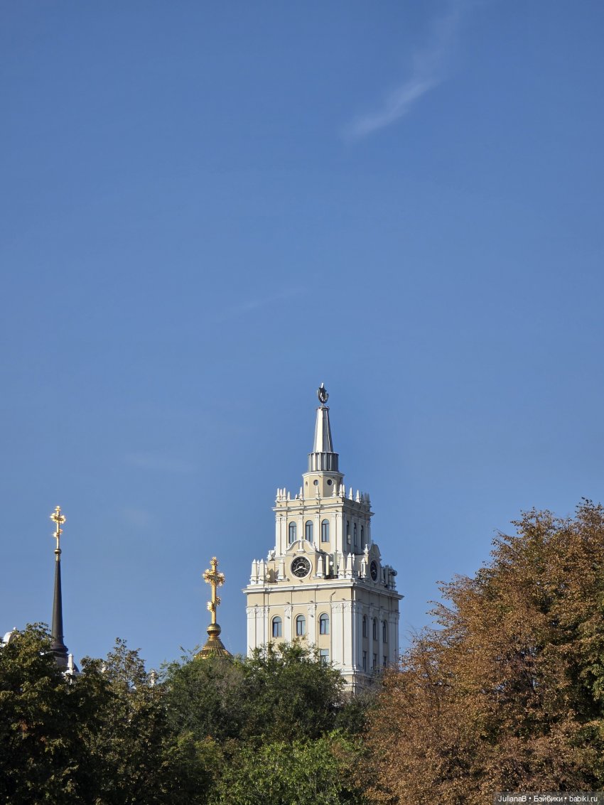 Мышь лабораторная. Воронеж 1