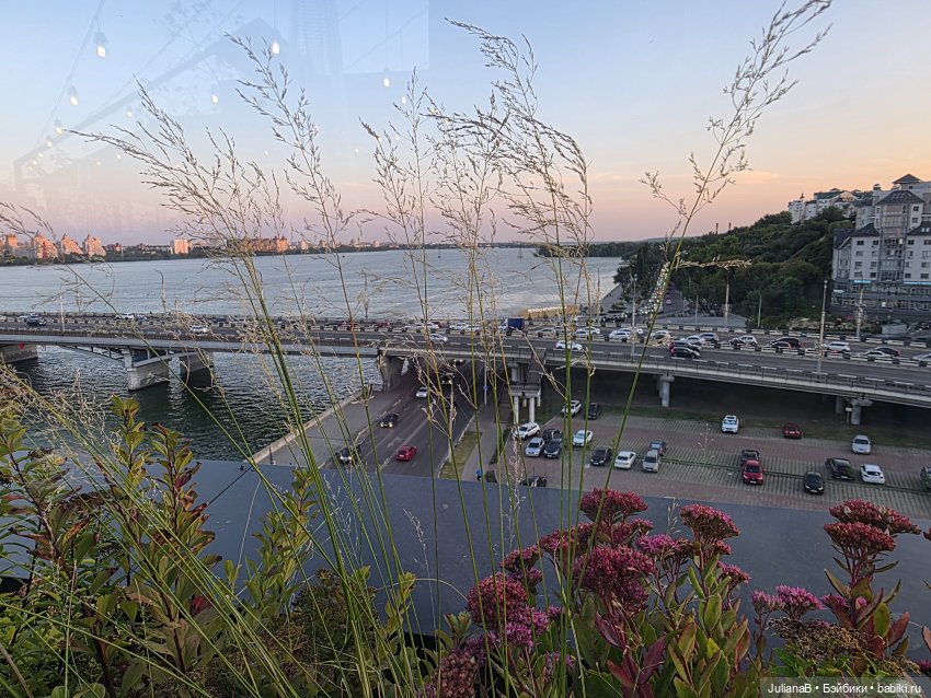 Мышь лабораторная. Воронеж 1