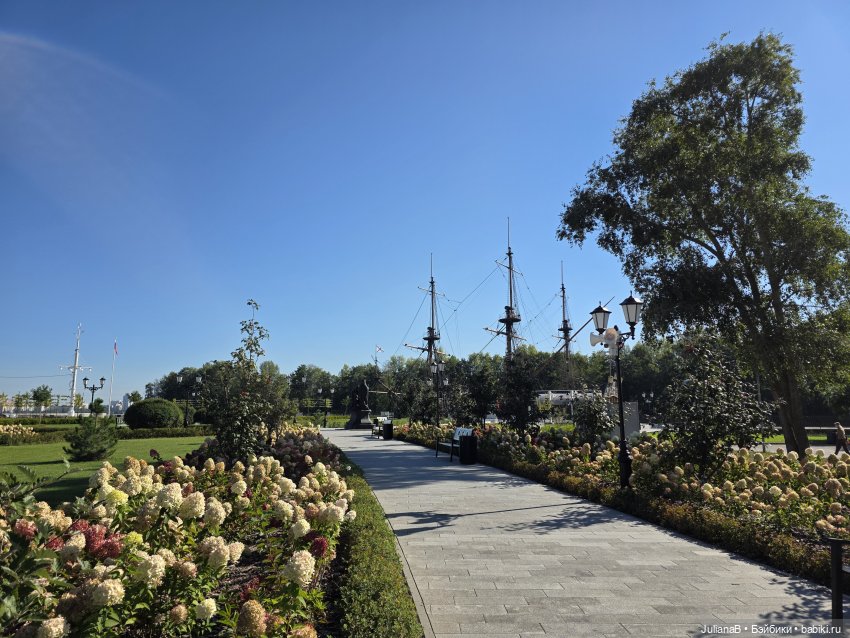 Мышь лабораторная. Воронеж 1