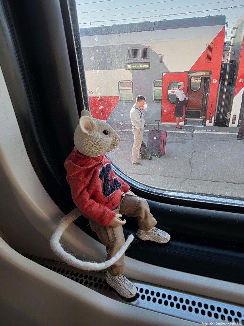 Мышь лабораторная. Воронеж 1 (фото 3)