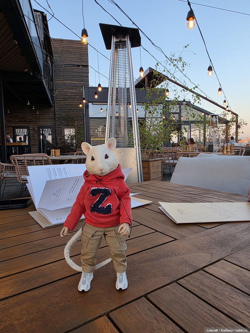 Мышь лабораторная. Воронеж 1