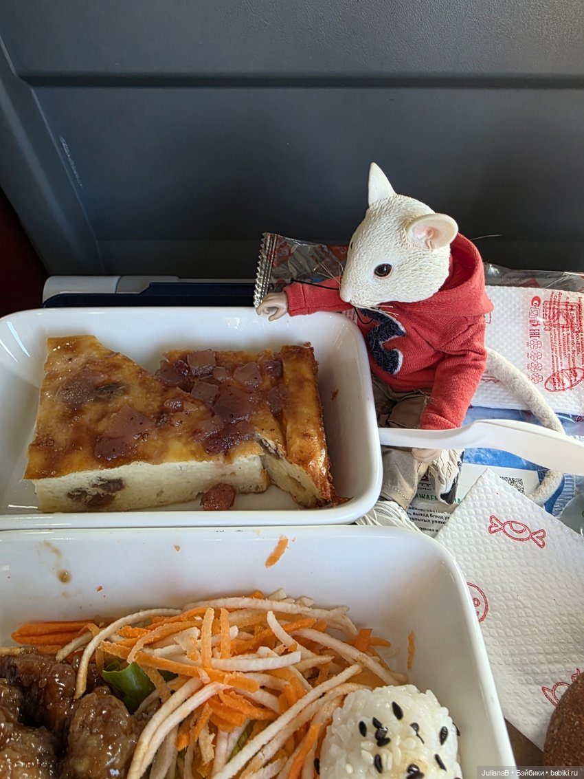 Мышь лабораторная. Воронеж 1 (фото 4)