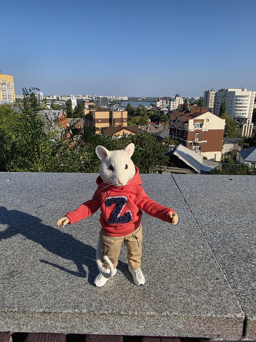 Мышь лабораторная. Воронеж 1