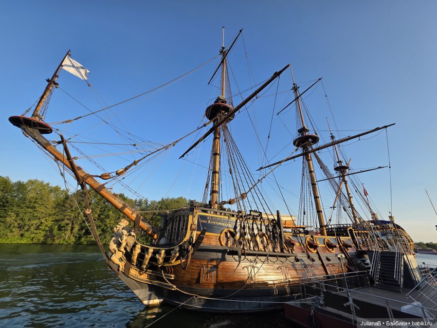 Мышь лабораторная. Воронеж 1