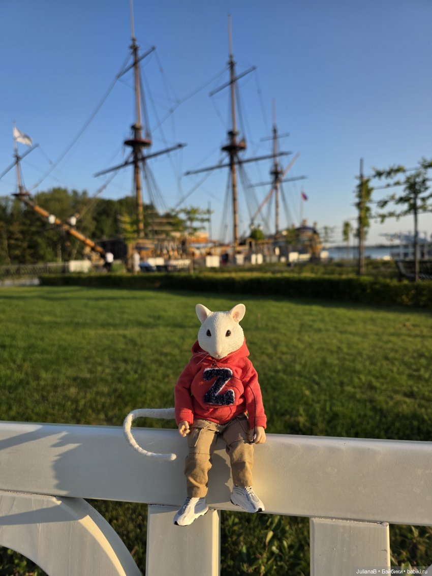 Мышь лабораторная. Воронеж 1