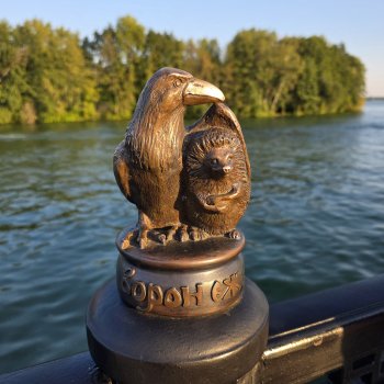 Мышь лабораторная. Воронеж 1