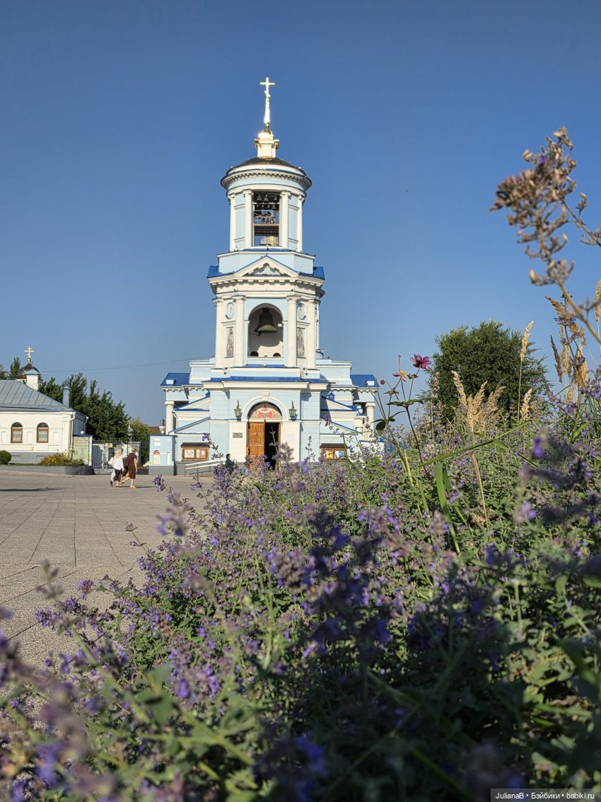 Мышь лабораторная. Воронеж 2