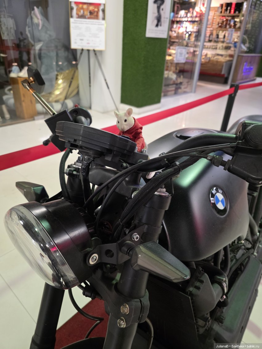 Мышь лабораторная. Воронеж 2 (фото 3)