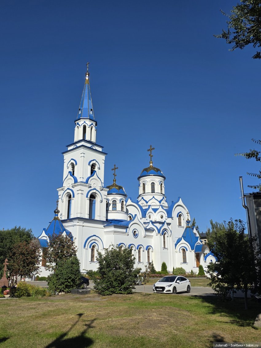 Мышь лабораторная. Воронеж 2