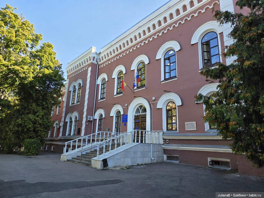 Мышь лабораторная. Воронеж 2 (фото 4)