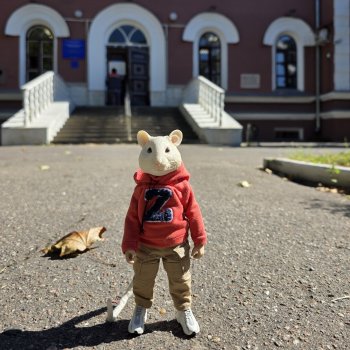 Мышь лабораторная. Воронеж 2