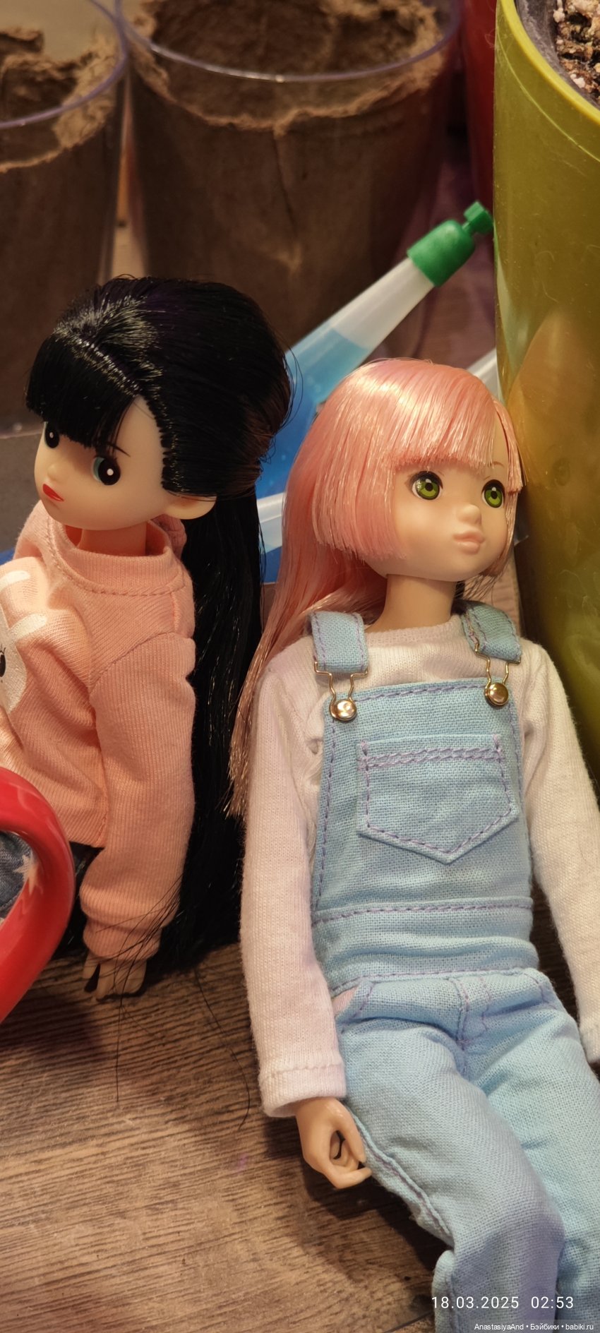 Садовницы — Куклы Strawberry Planet: Redberry