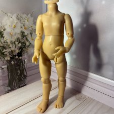 Тело для Паолы Рейна