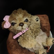 Щенок в стиле натюр