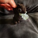 Миниатюрный медведь