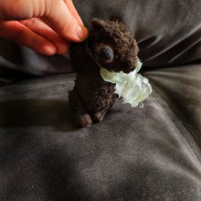 Миниатюрный медведь