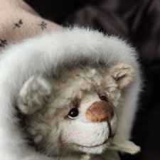 Мишка Тедди Мечтатель