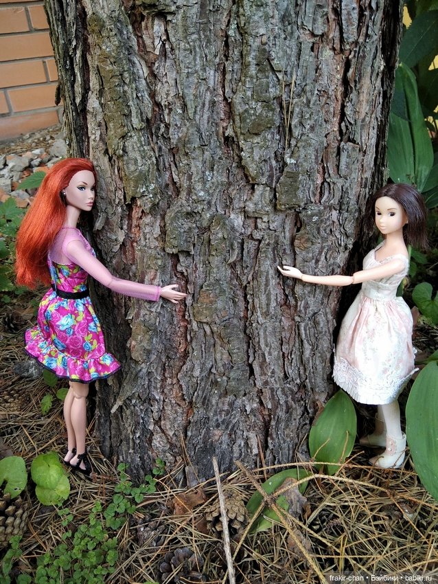 Аюми и Чарли на даче — Домашние коллекции кукол: фото собраний (фото 6)