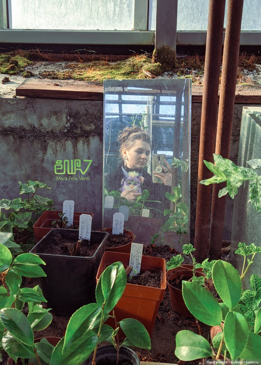 Фёрби Амарантиновая Дилемма в весеннем ботаническом саду