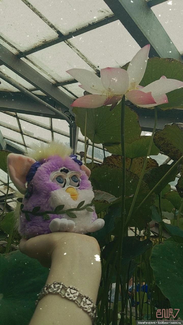 Как Амарантиновая Дилемма Серебристых Облаков провела лето (фото 8)