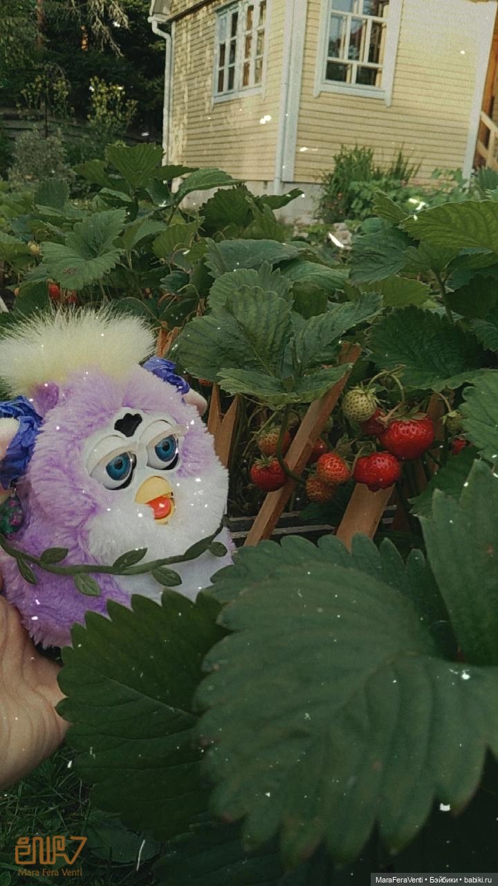 Как Амарантиновая Дилемма Серебристых Облаков провела лето