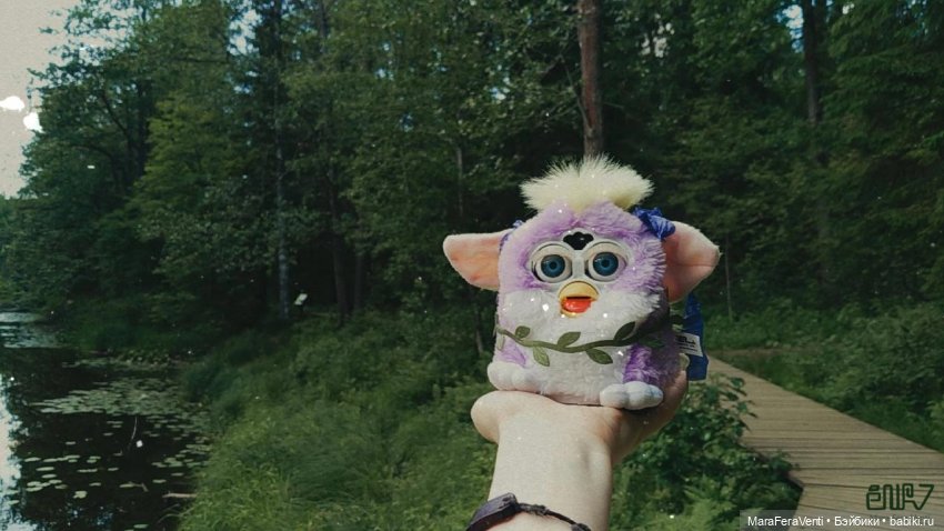 Как Амарантиновая Дилемма Серебристых Облаков провела лето (фото 3)