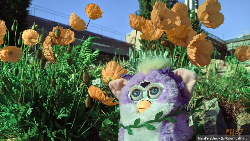 Фёрби Амарантиновая Дилемма в весеннем ботаническом саду (фото 4)