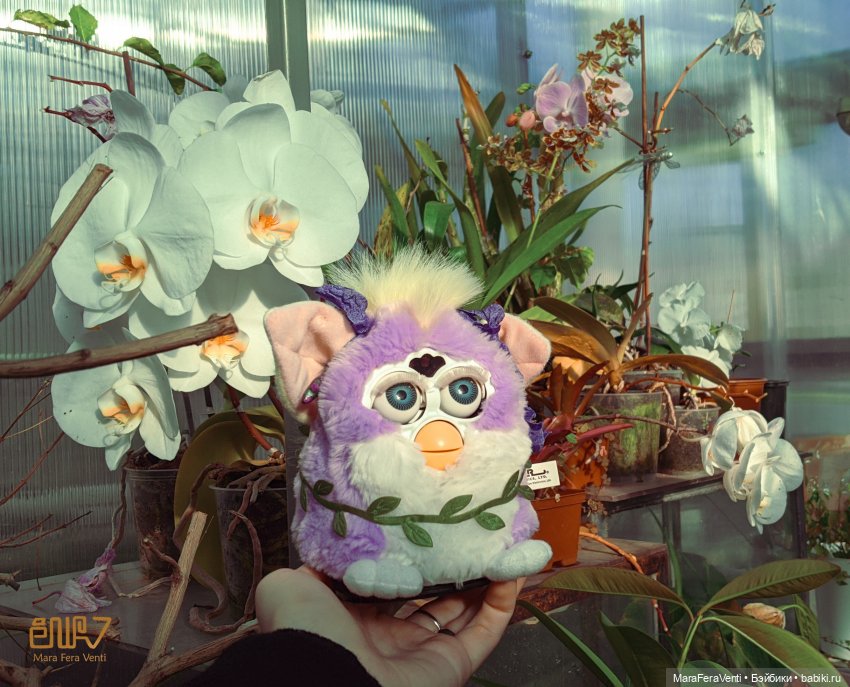 Фёрби Амарантиновая Дилемма в весеннем ботаническом саду (фото 6)