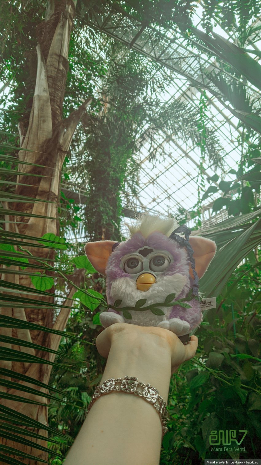 Как Амарантиновая Дилемма Серебристых Облаков провела лето (фото 6)