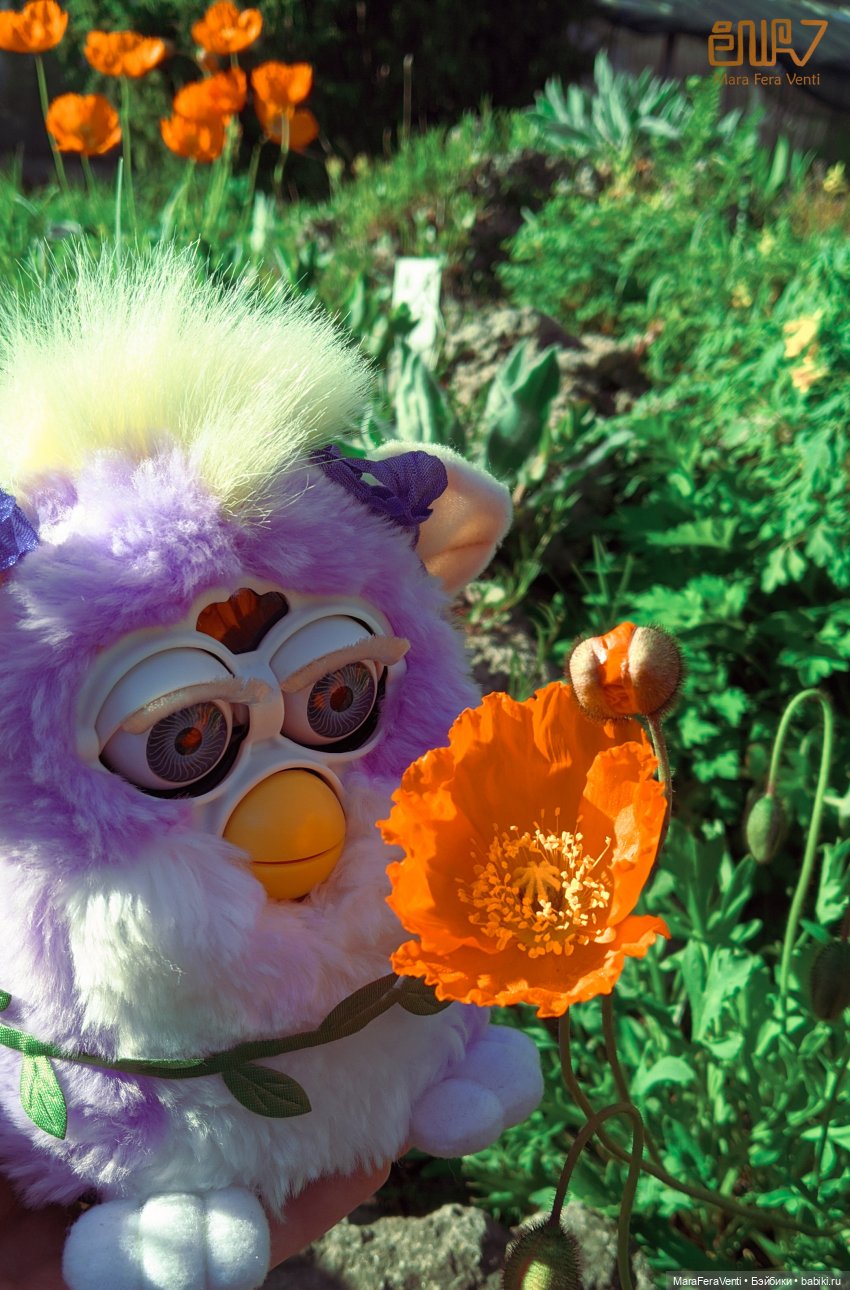 Фёрби Амарантиновая Дилемма в весеннем ботаническом саду (фото 3)