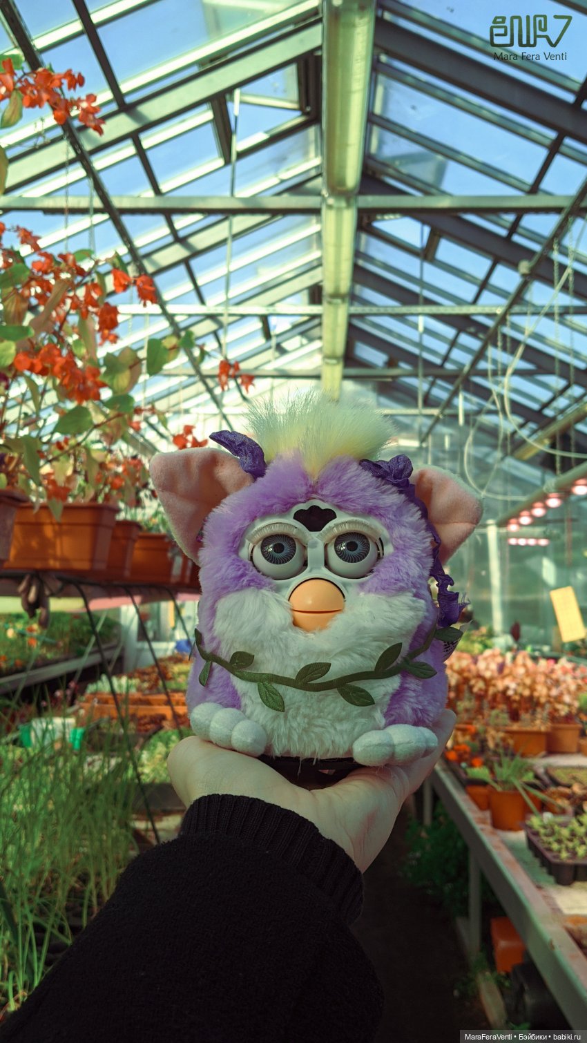 Фёрби Амарантиновая Дилемма в весеннем ботаническом саду (фото 5)