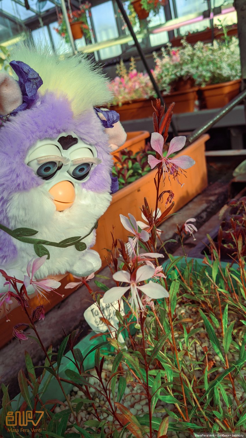 Фёрби Амарантиновая Дилемма в весеннем ботаническом саду (фото 10)