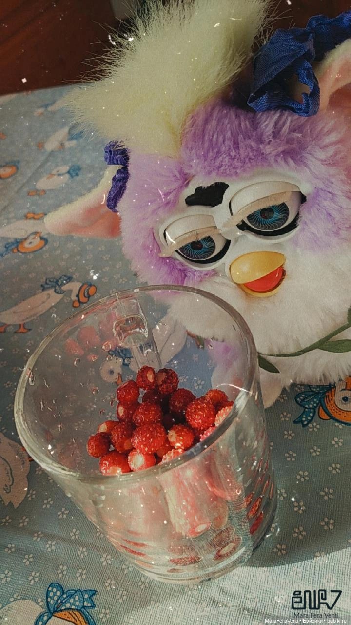 Как Амарантиновая Дилемма Серебристых Облаков провела лето