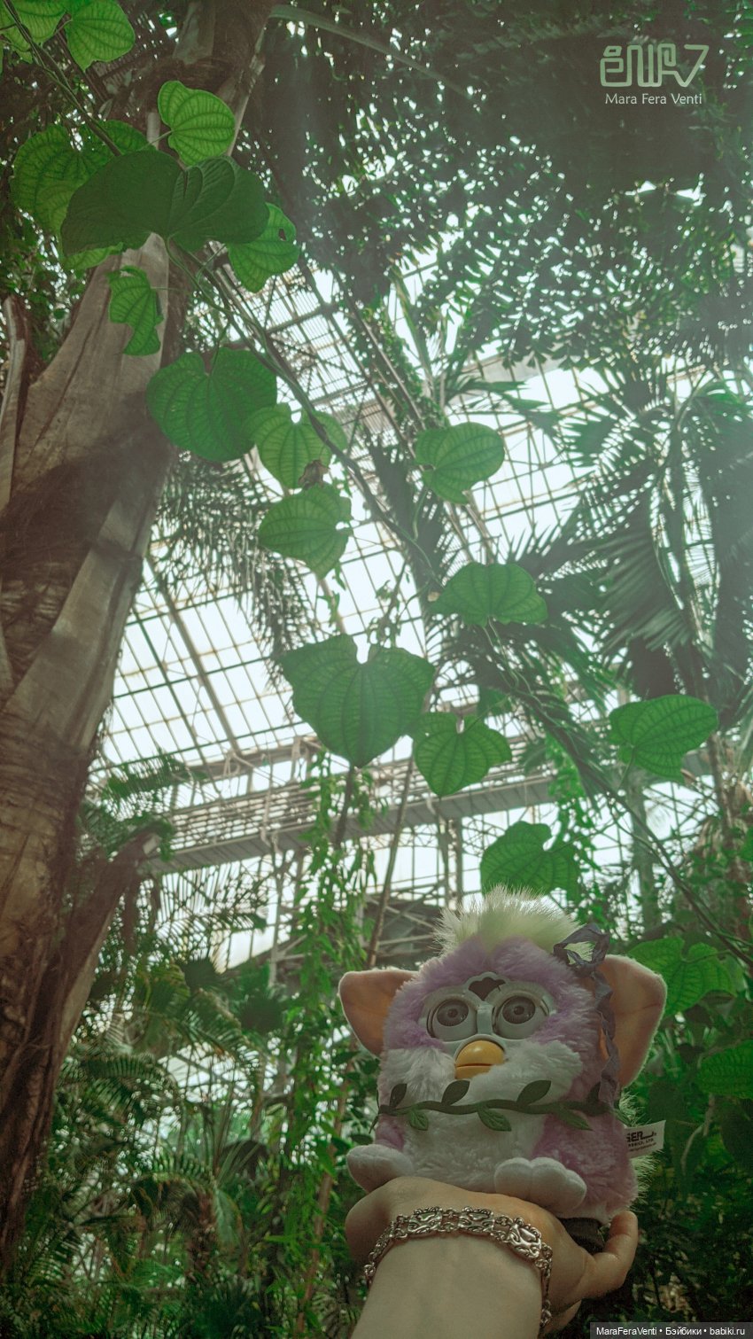 Как Амарантиновая Дилемма Серебристых Облаков провела лето (фото 5)