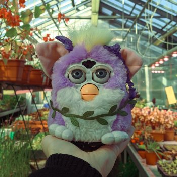 фёрби Амарантиновая Дилемма в весеннем ботаническом саду