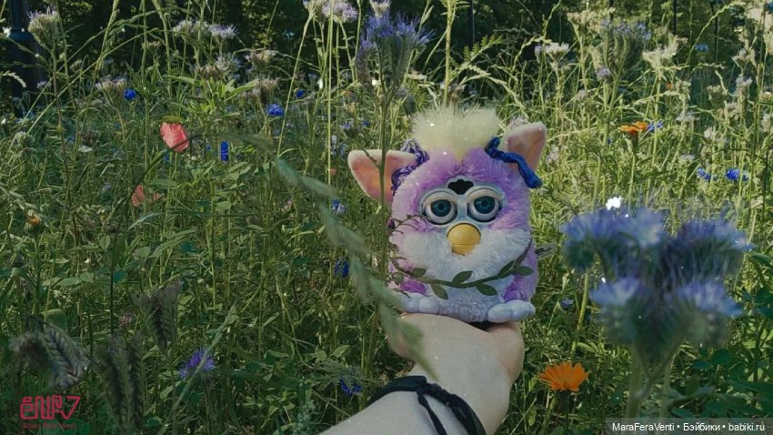 Как Амарантиновая Дилемма Серебристых Облаков провела лето