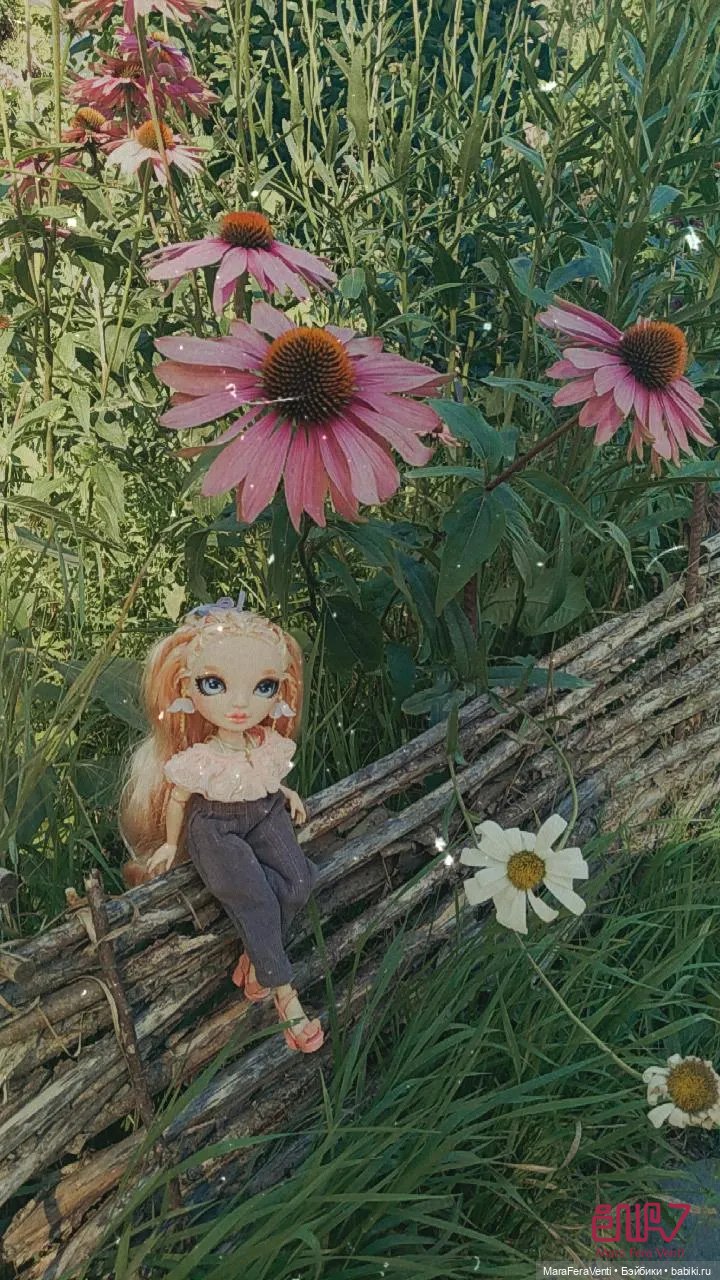 Как Амарантиновая Дилемма Серебристых Облаков провела лето