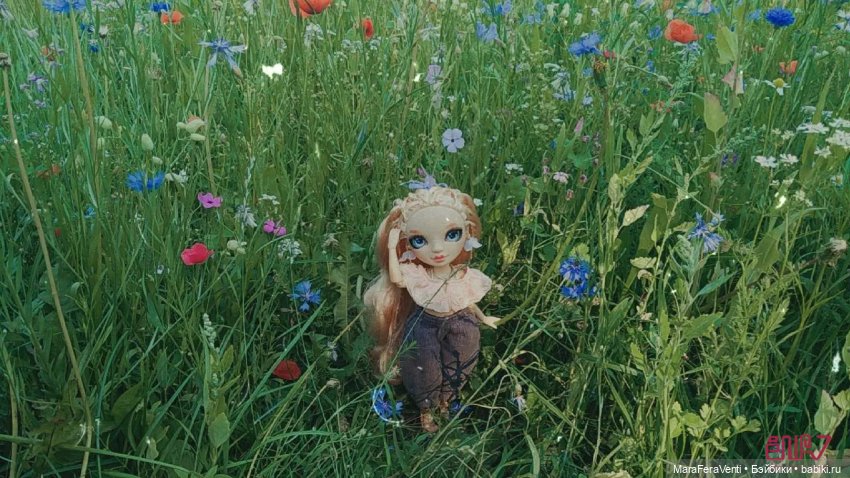 Как Амарантиновая Дилемма Серебристых Облаков провела лето