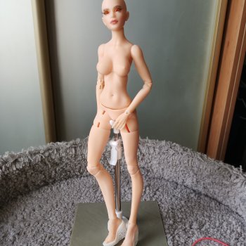 Сборка куколки