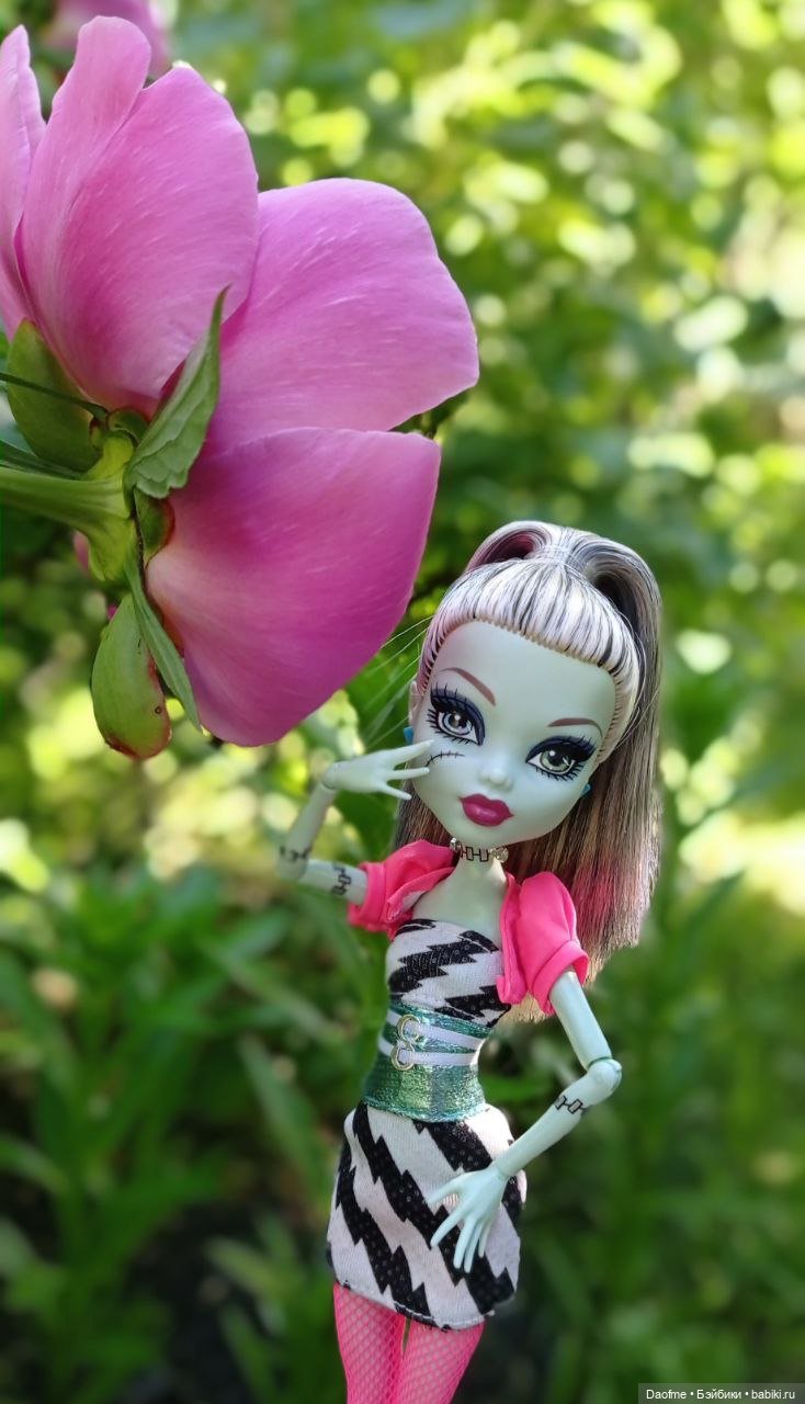 Куклочеллендж - 12 фото) — Куклы Monster High и Ever After High: G1 (фото 9)