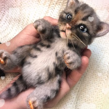 Котёнок полосатый