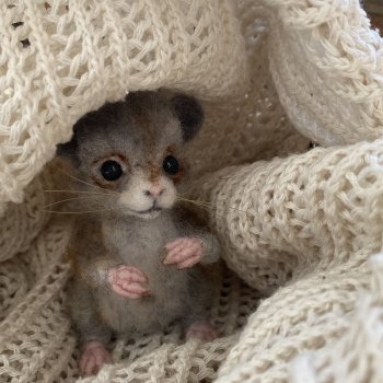 Мышь серая.