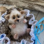 Ёжик в лежанке)