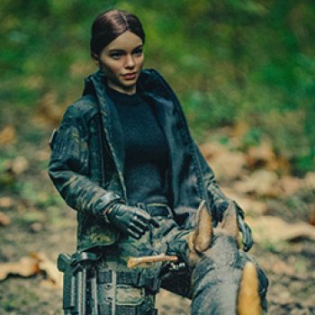 Вечернаяя прогулка в лесу