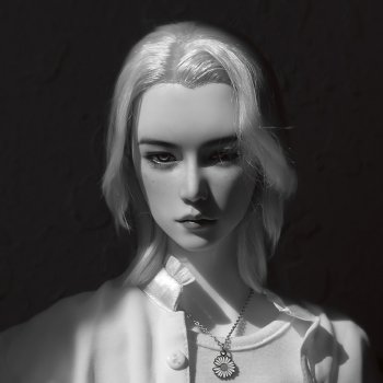 Свет и тень