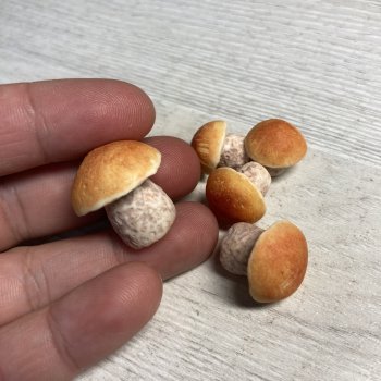 Грибочки в миниатюре. Подосиновик и белый гриб