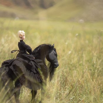 Фризский конь и красавица Дания