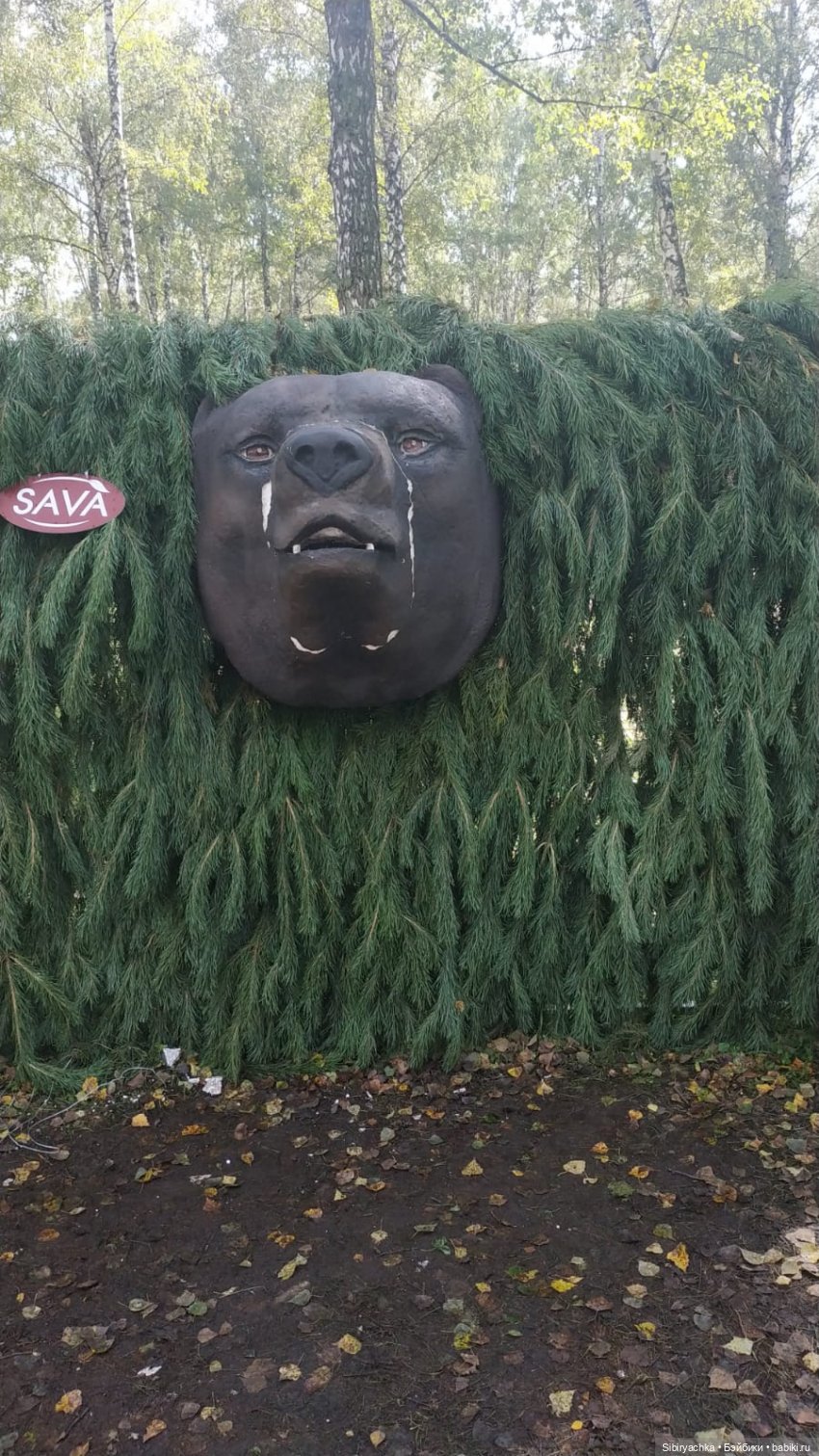 Глаша и Луша гуляют в сельском парке "Околица" (фото 3)