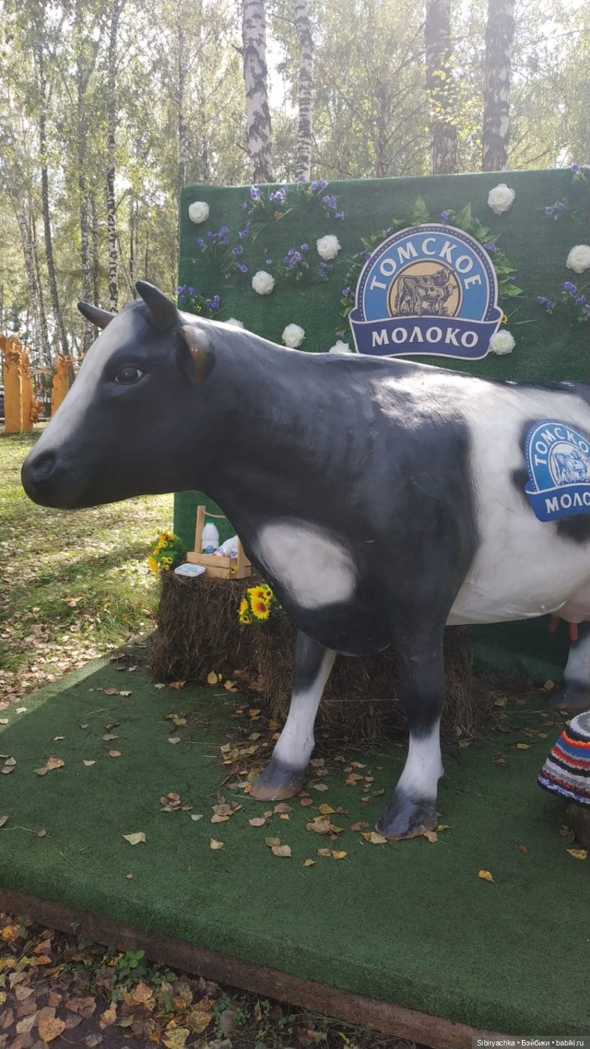 Глаша и Луша гуляют в сельском парке "Околица" (фото 2)