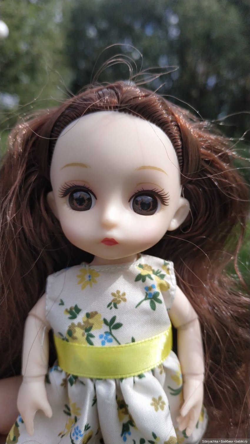 Новые приключения Глаши и Луши (фото 2)